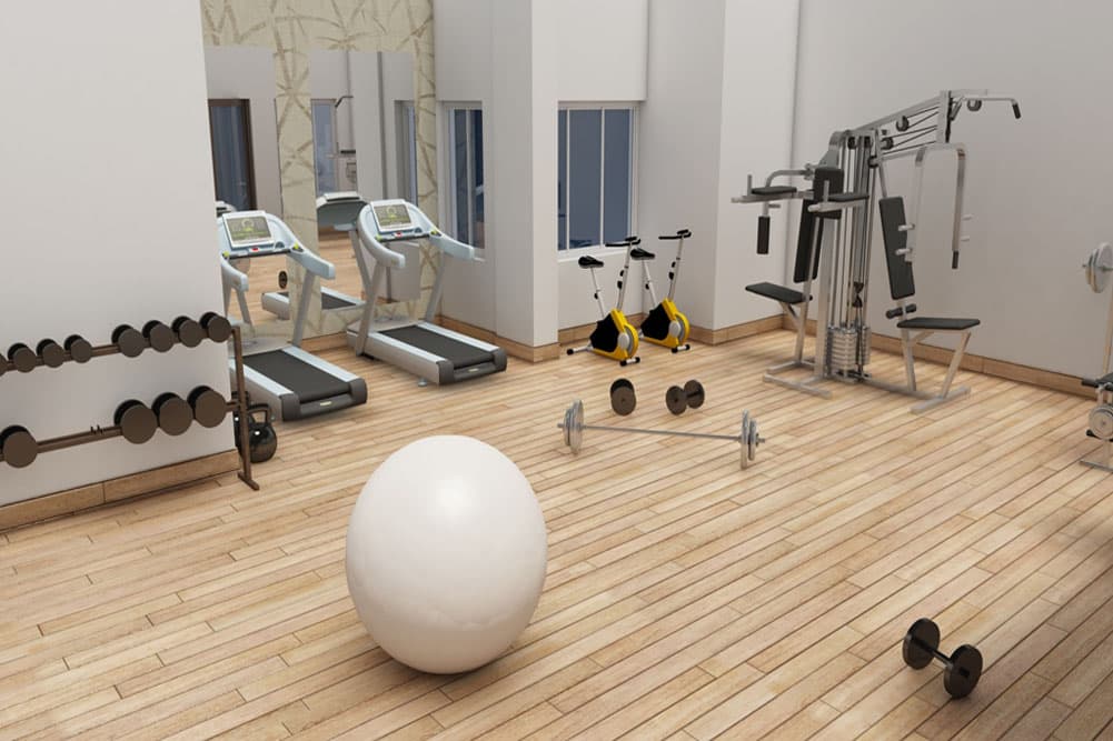 Modern Gym